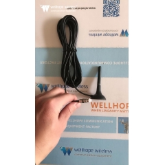 WiFi cellulare IIT Router ANTENNE 