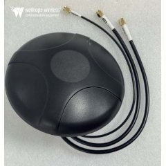 Antenna di trasporto Puck