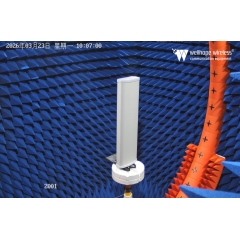 Antenna multipla LoRaWAN 5G