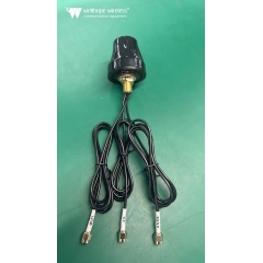 Antenna all'aperto Automotive WLAN WH-4G-2.4-GPS-D2 